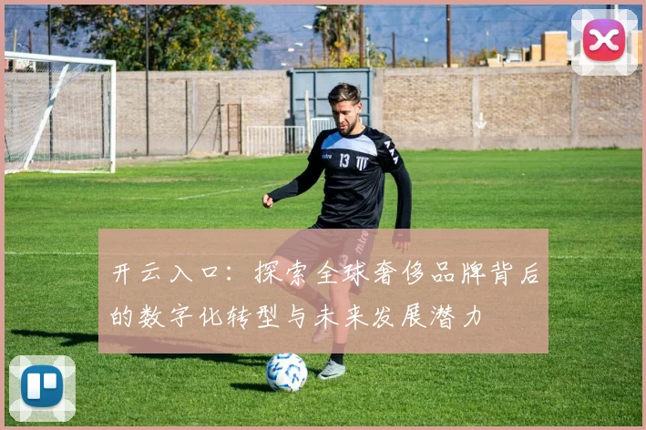开云入口：探索全球奢侈品牌背后的数字化转型与未来发展潜力