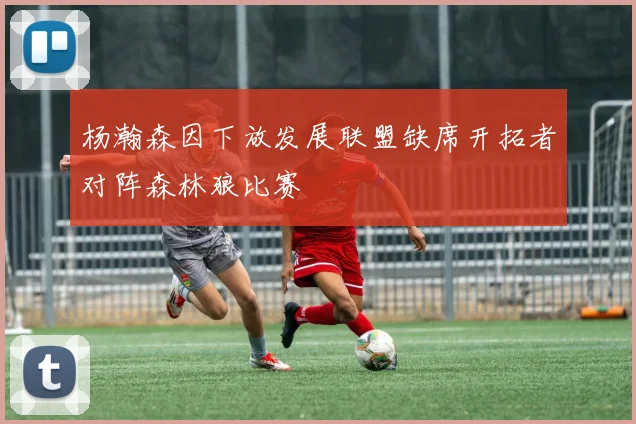 杨瀚森因下放发展联盟缺席开拓者对阵森林狼比赛