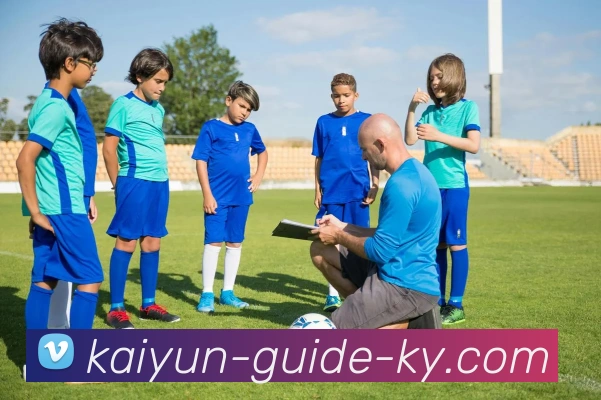 开云平台生态图